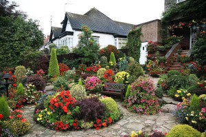 Свой сад – идеальное хобби для тех, у кого много свободного времени
