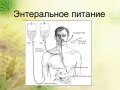 Энтеральное питание — зачем оно используется